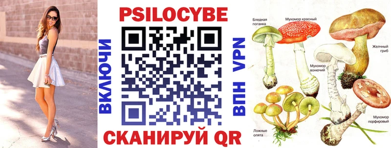ссылка на мегу рабочий сайт  Кунгур  Псилоцибиновые грибы Psilocybe 