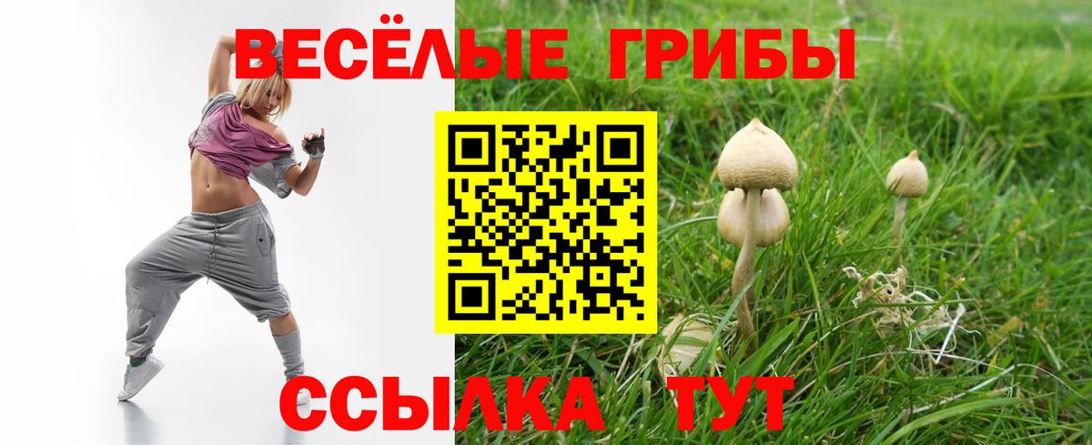 Псилоцибиновые грибы ЛСД  Вход с VPN  Кунгур 